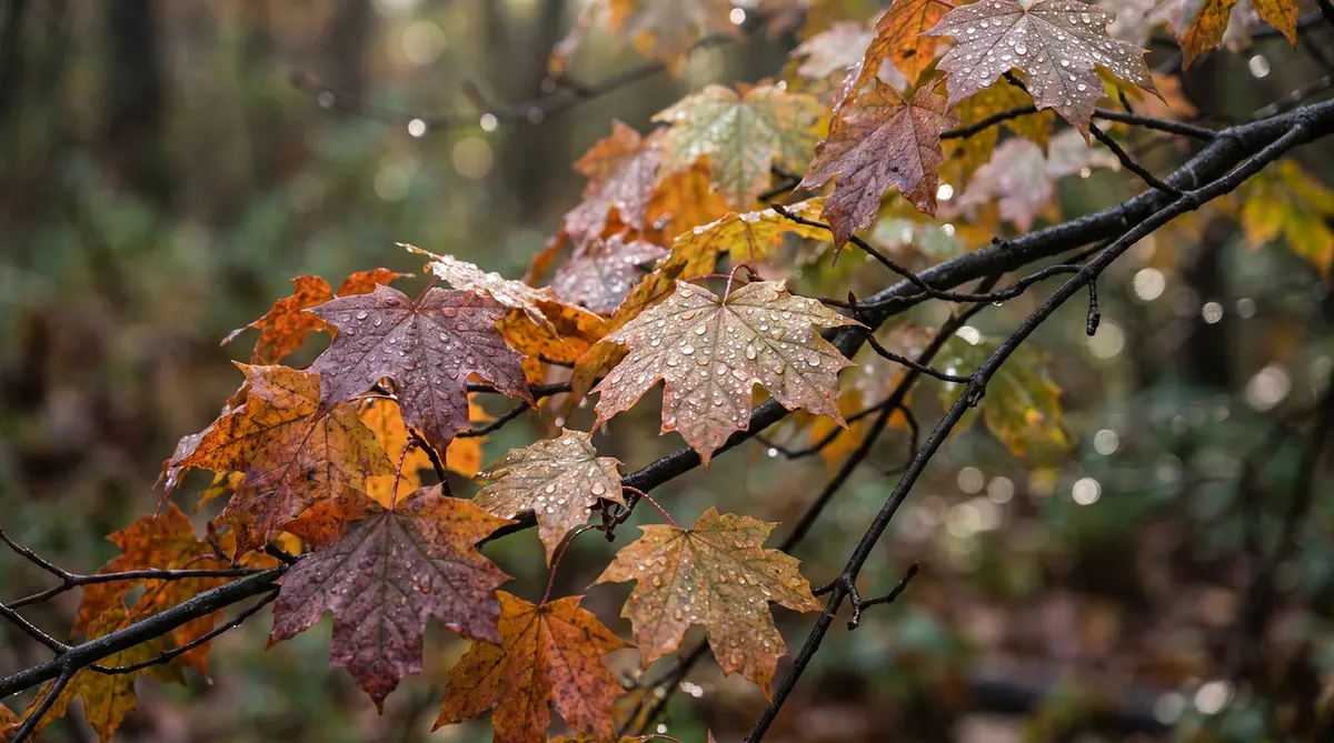 How to Choose the Right Tree Species for Wet UK Ground