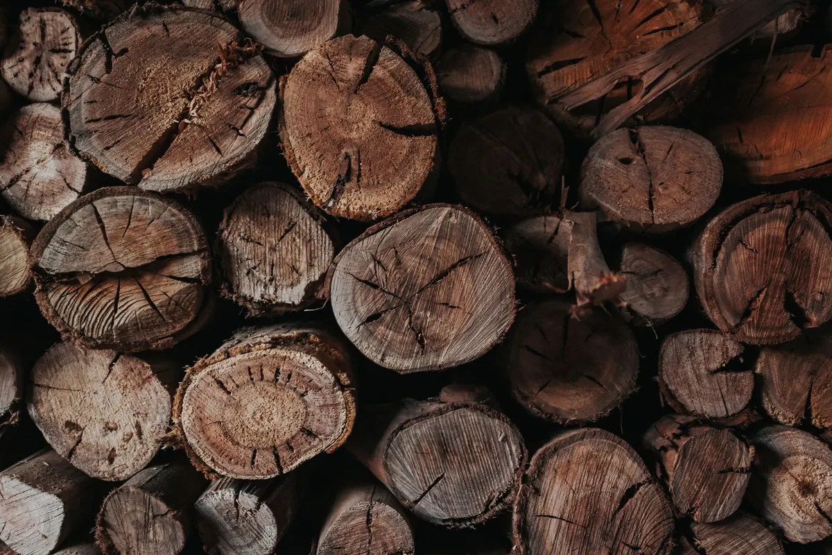 Timber Grading Explained: What UK Sawmills Mean by C16 and C24